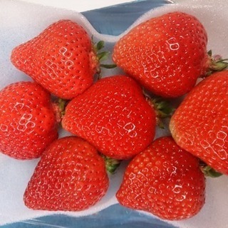 自然が好きな方大募集。の画像