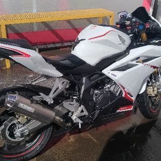平日限定!!ツーリング仲間募集
