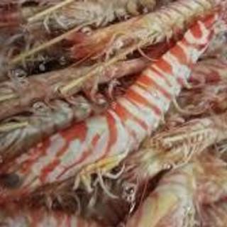 魚の捌き方教えます！の画像