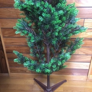クリスマスツリーの画像