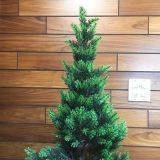 クリスマスツリーの画像
