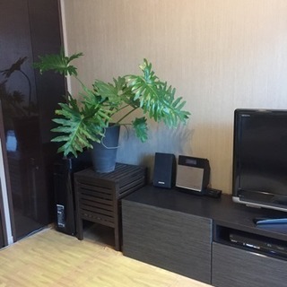 徒歩10分圏内への引っ越し（ファミリー）