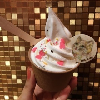 カフェ、インスタ、写真友達募集＊