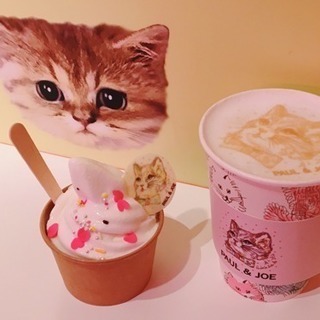 カフェ、インスタ、写真友達募集＊ − 東京都