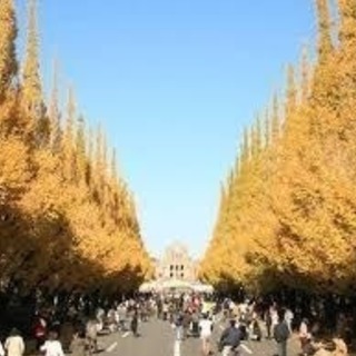 🍂神宮外苑いちょう祭り、🍁根津美術館庭園などのお散歩