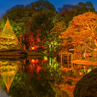 11月23日(金) 期間限定！紅葉と大名庭園のライトアップ！フォ...