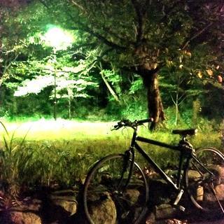 🌌ナイトサイクリング - 友達