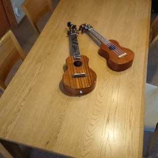 蓼科高原でウクレレの音色を楽しみましょう♪　まえだウクレレ教室の画像