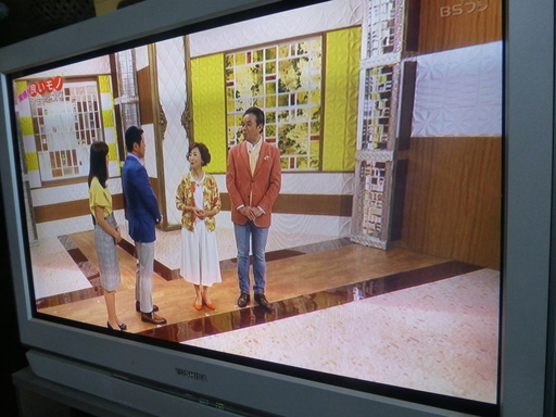 東芝/FACE/36DX100/地デジハイビジョン最上級ブラウン管テレビ (ひろっ