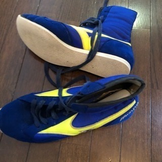 MIZUNOボクシングシューズの画像