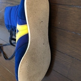 MIZUNOボクシングシューズの画像