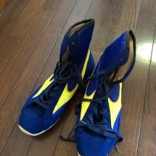 MIZUNOボクシングシューズの画像