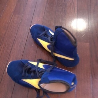 MIZUNOボクシングシューズの画像