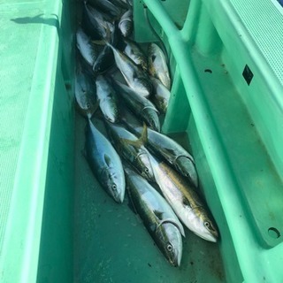 釣り友募集