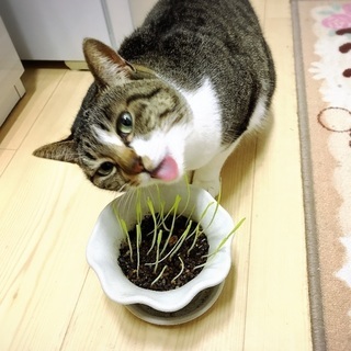 臆病ですが、慣れると甘えん坊