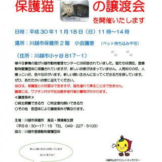 川越市保健所「保護猫の譲渡会」 