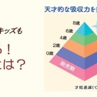 “もしこの手紙の脳の発育理由を真に理解し実践したならば、あなたの子供さんは、半年後には他の子供さんとは明らかに数十歩先を行く脳に発育してしまう方法を公開！の画像