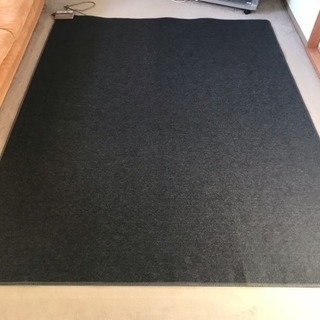 【ホットカーペット/お値下げ】9,800円→5,000円の画像