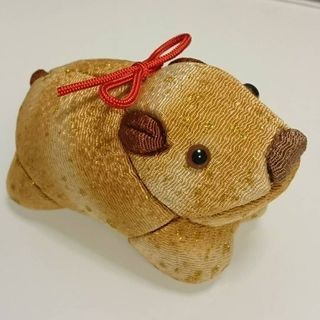 来年の干支(亥🐗)江戸木目込人形を作ろう🌼特別講習会✨開催‼️