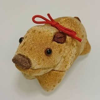 来年の干支(亥🐗)江戸木目込人形を作ろう🌼特別講習会✨開催‼️の画像
