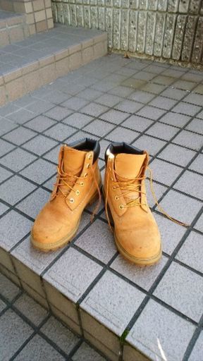 ティンバーランド　12909 23cm
