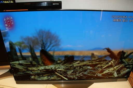 【モノマニア四日市】【引き取り限定】LG　55型有機EL　液晶TV　OLED55E6P　2016年製　USED