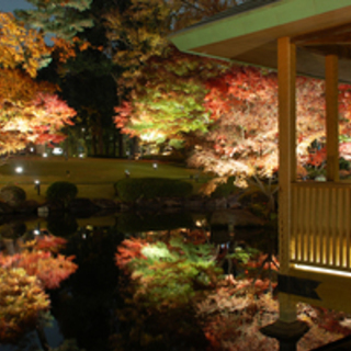 12月5日（水）六義園　平日休みのかたなど カメラ