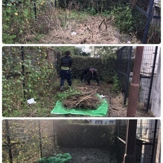 庭木の剪定 庭の手入れ致します【所沢市 狭山市入間市志木市清瀬市〜】