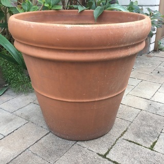 大型 植木鉢 の画像