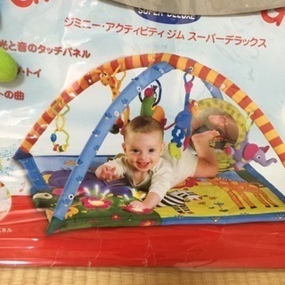 Gymini アクティビティジムSuperDeluxeの画像