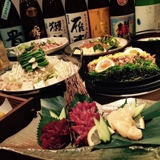 新しい仲間募集！