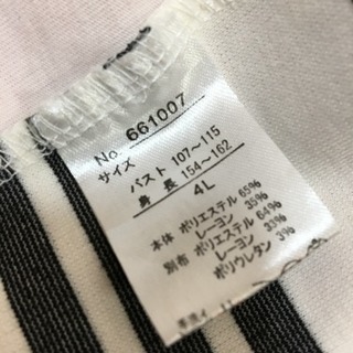 大きいサイズ   4L  チュニック 白の画像