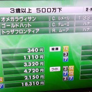 🐎競馬の祭典ジャパンカップを一緒に観戦しませんか?

