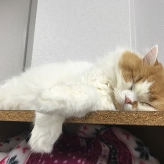 ジムに行きませんか？