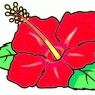パチスロ一緒に行きませんか(*^^*)