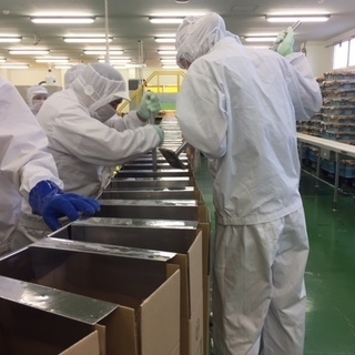 ＼月給なななんと30万以上！？／【寮あり‼ 一部赴任費用至急あり!!】さとうきび製糖工場での軽作業です★の画像