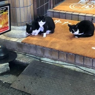 ダーツ一緒にしませんか(^^)？