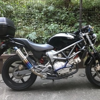 VTR250