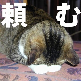 11月22日19時！！！女性限定！！！