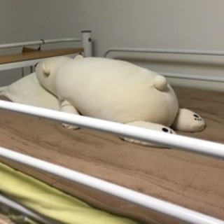 ロフトベッドの画像