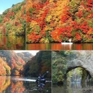 マイクロバスレンタルで紅葉＆イルミネーションを楽しみに行こう！！
