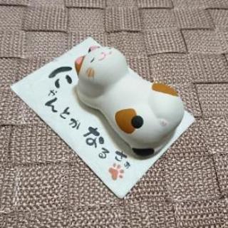 気軽に声かけてくださいね♪