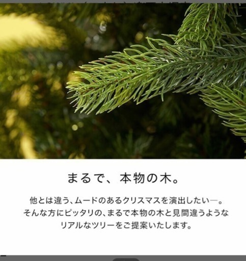 クリスマスツリー