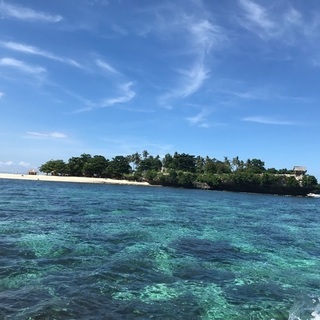 ダイビングが趣味の方🐠
