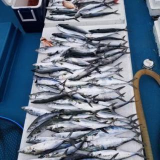和歌山ルアー船　釣り船　ヘイヘイシップ − 和歌山県
