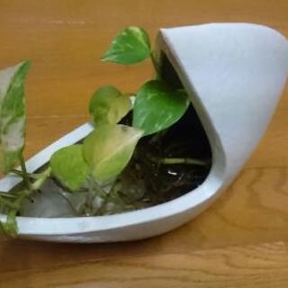 花器