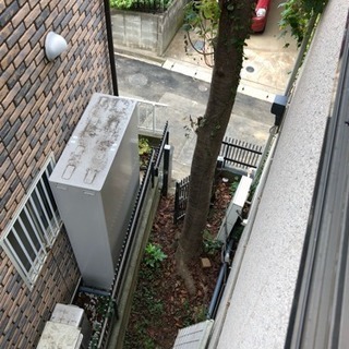 桜の木 原木 薪にどうですかの画像