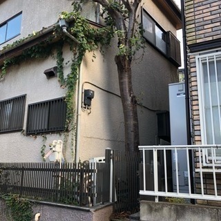 桜の木 原木 薪にどうですかの画像