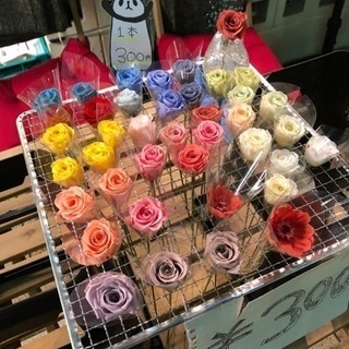 お花 特別価格での店頭販売