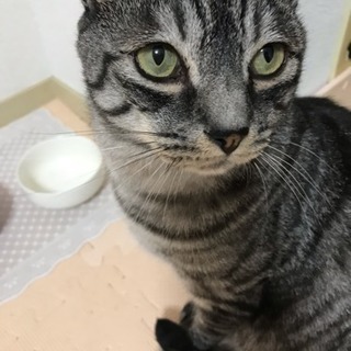 里親さま決まりました！